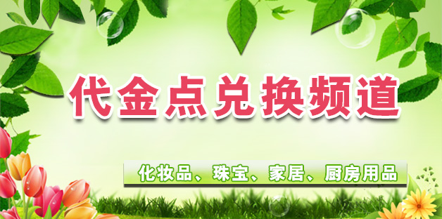 代金点兑换