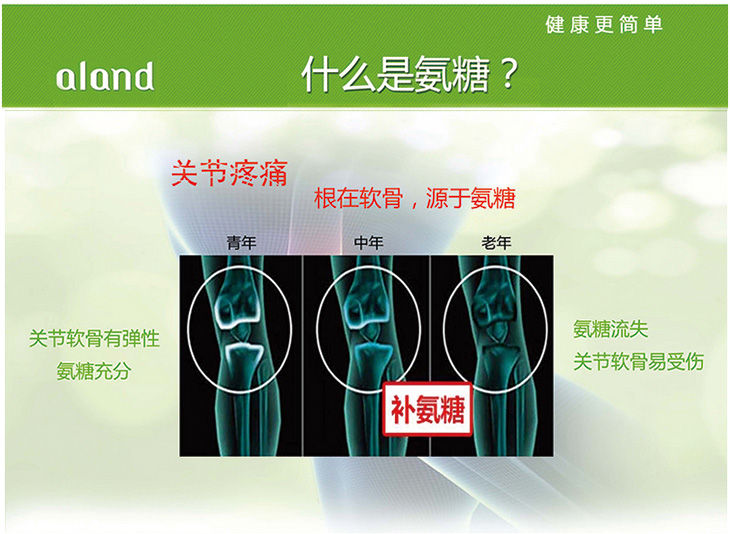 艾兰得氨糖软骨素