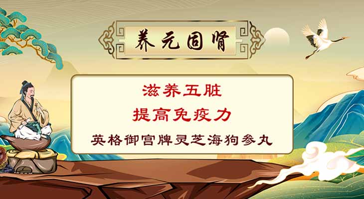 英格御宫牌灵芝海狗参丸